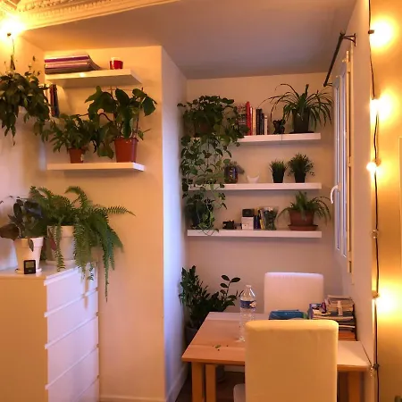 F2 44m2 Apartment
